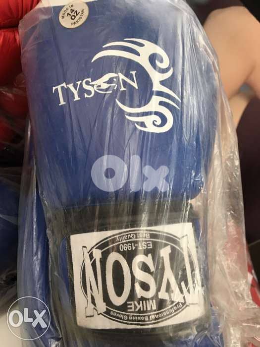 boxing gloves new 2