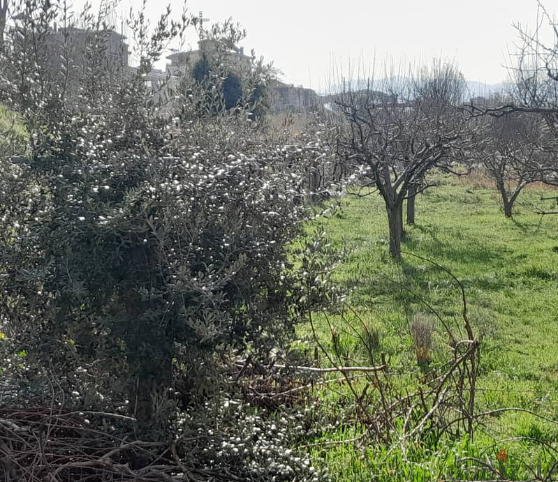 2750 SQM Land in Aayroun, Metn Overlooking the Ocean and the Mountains 0