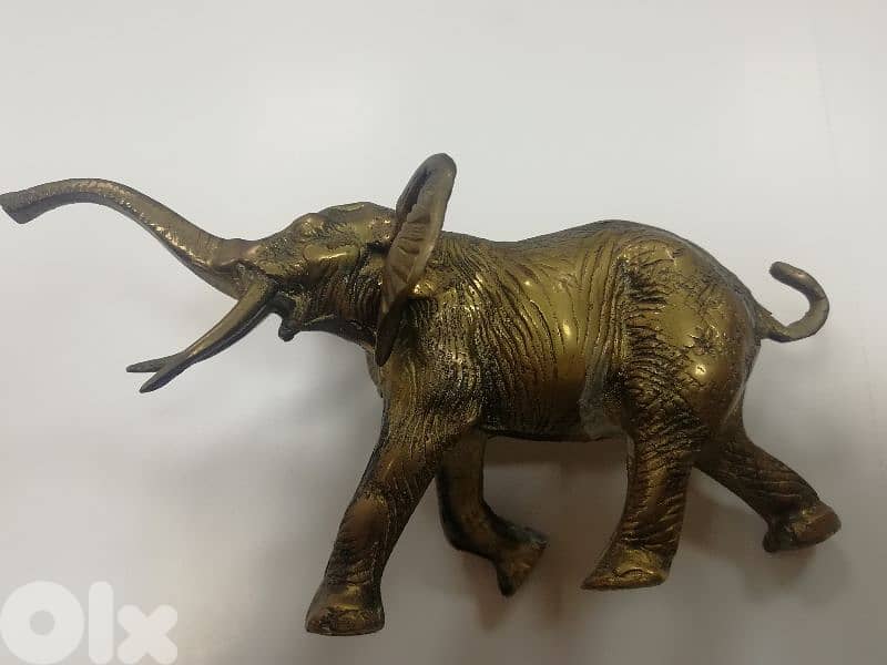 antique فيل 1