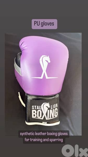 boxing gloves 1