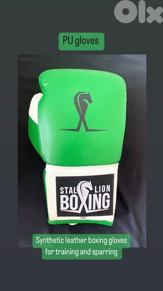 boxing gloves 2