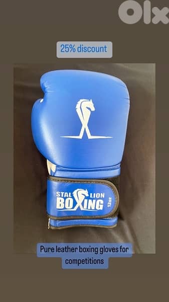 boxing gloves 5