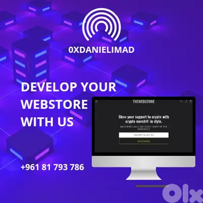 E-commerce sites Developer in Lebanon