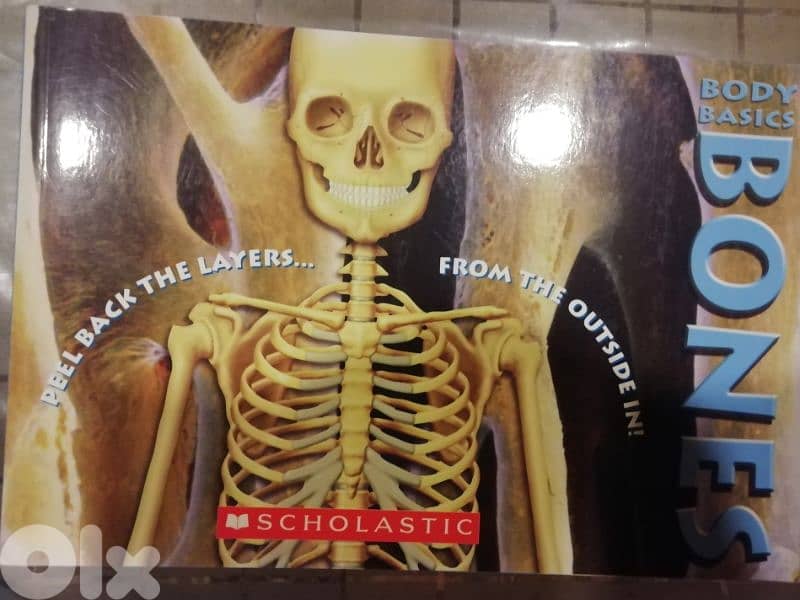 bones 0