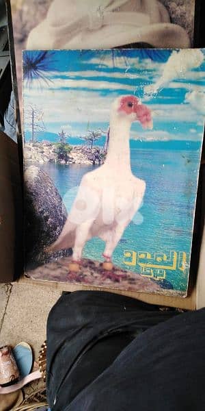 لوحه  قديمه. . . . . 0
