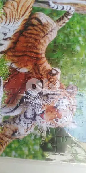 بازل ذكاء ب ٥٠ الف