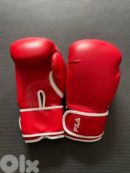 boxing gloves 2