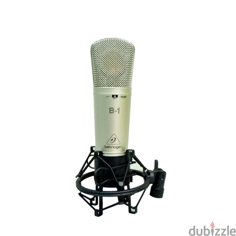 B-1 Condenser Microphone 2