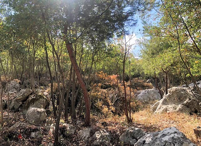 2649 SQM Prime Location Land in Zandouka, Mount Lebanon 0