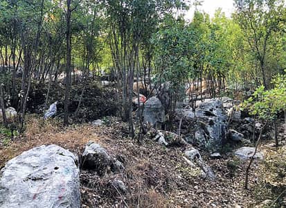 2649 SQM Prime Location Land in Zandouka, Mount Lebanon