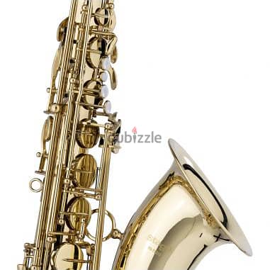 Stagg WS-TS215S Tenor Sax 2