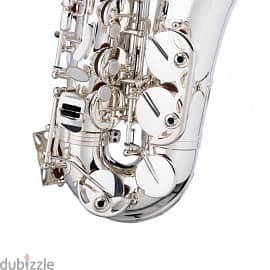Stagg WS-AS211S Alto Sax 1
