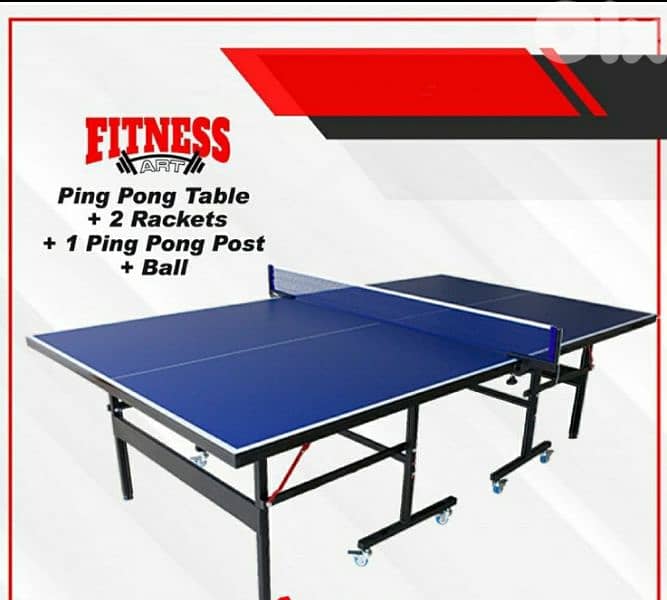 Ping Pong table 0