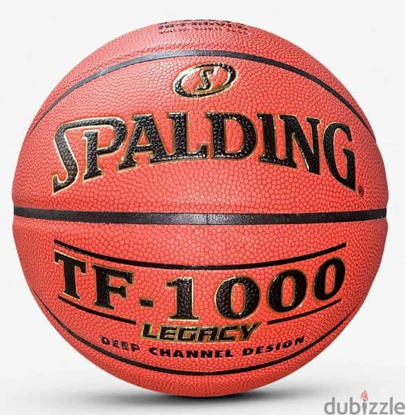 Spalding Basketball TF-1000 0