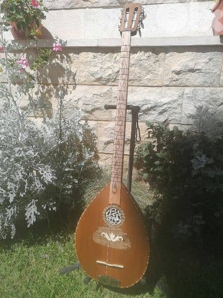 buzok بزق 0