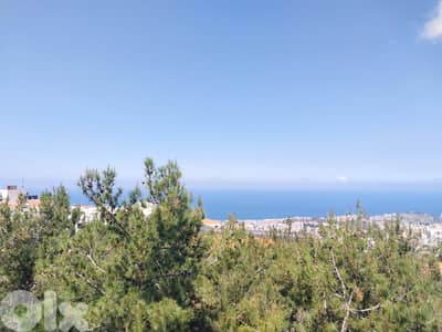 Apartment for sale in Biyada/Furnished/SeaView شقة للبيع في البياضة