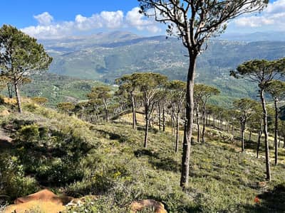 2545 Sqm | Land For Sale In Kaakour | Panoramic View