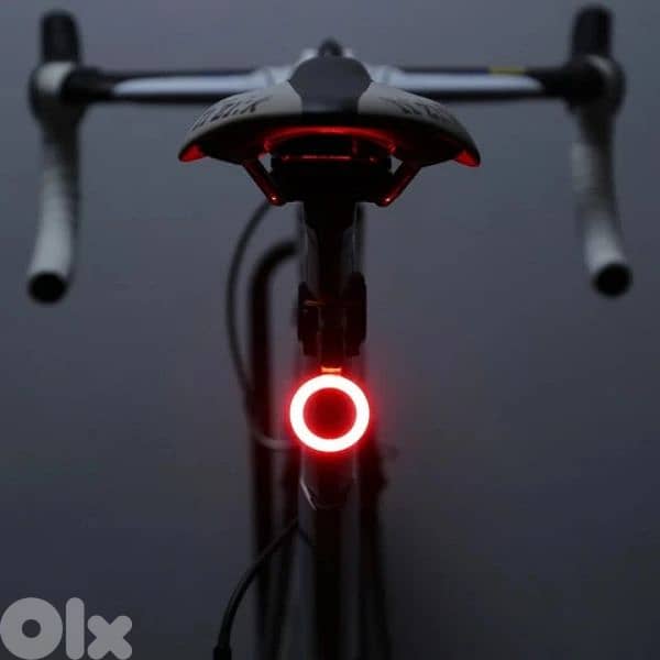 Bicycle warning light 1