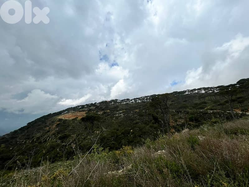 1550 Sqm | Land For Sale In Kaakour | Panoramic Mountain View 3