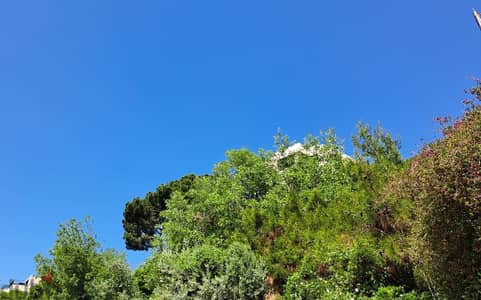 Unique land for sale in Dik el Mehdi!