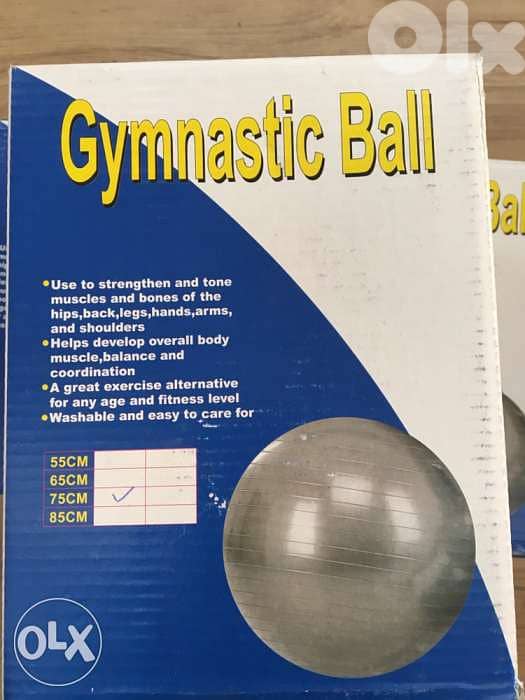 gymnastic ball 75 cm 2