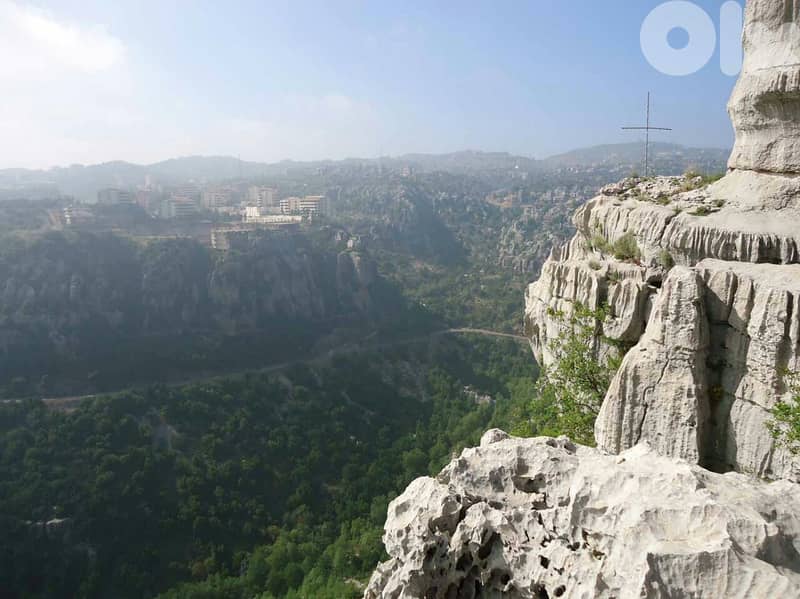 Plot with beatiful sea and mountain view for sale in kfardebian 2