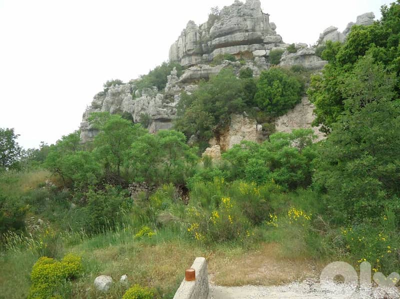 Plot with beatiful sea and mountain view for sale in kfardebian 3