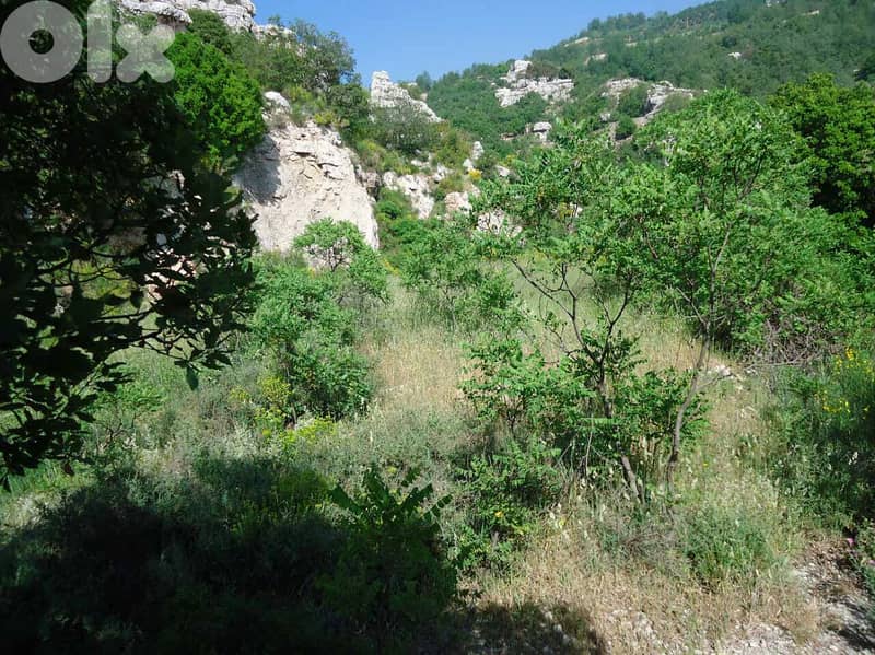 Plot with beatiful sea and mountain view for sale in kfardebian 5