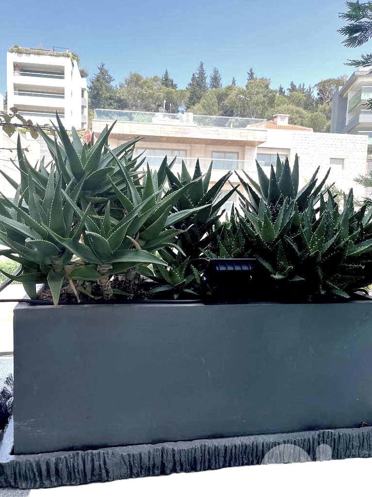 Concrete rectangular Planter 0