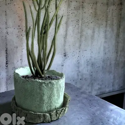 Concrete round planters