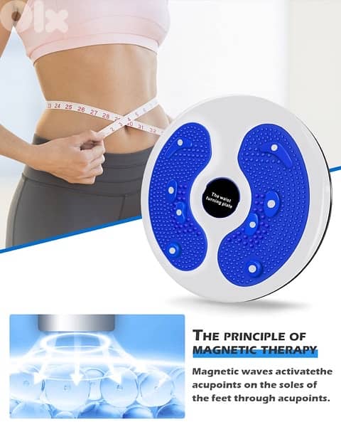 Waist twisting disc 3
