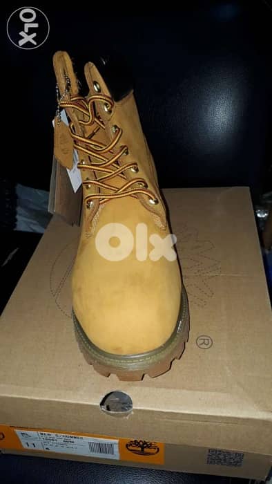 Timberland boot 1