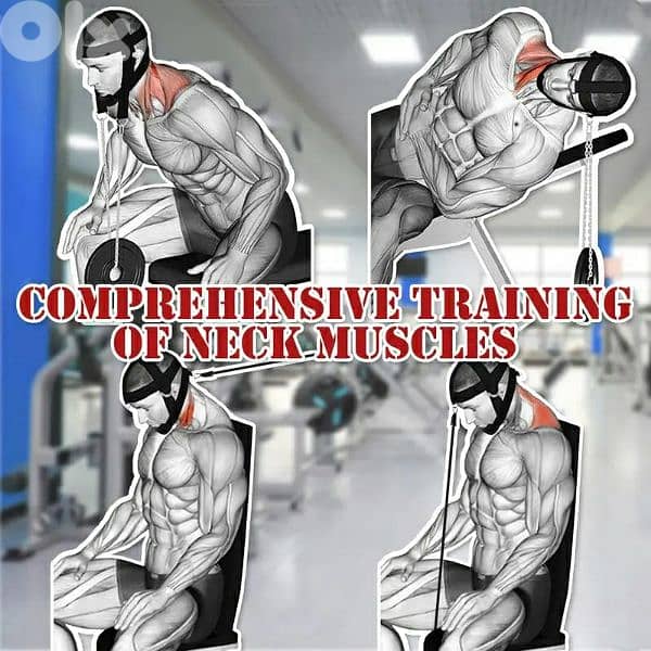 Neck Weight Lifting Straps 4