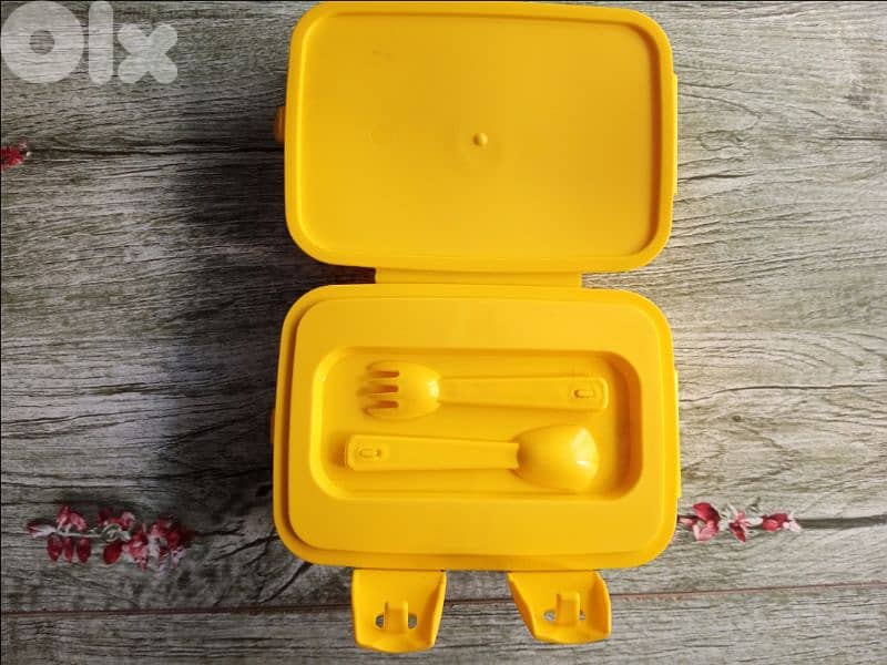 excellent quality healthy lunch boxes 3