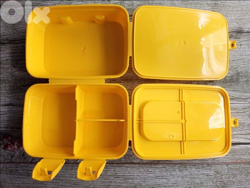 excellent lunchbox 14