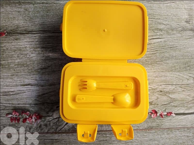 excellent lunchbox 15