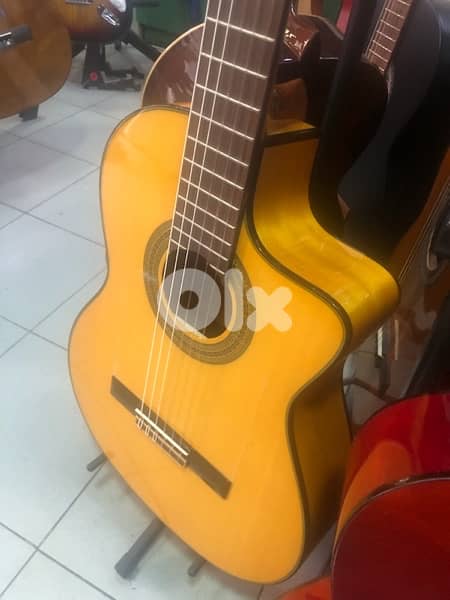 flamingo Spanish guitar 1