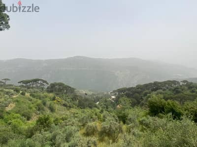 Land for sale in Aabadiyeh  4005 Sqm | Zone 30/90  Prime location