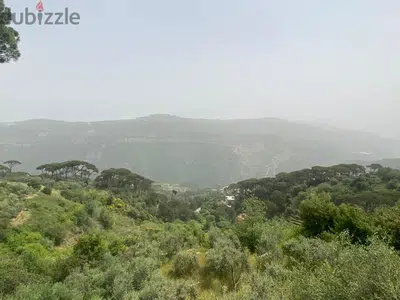 Land for sale in Aabadiyeh  4005 Sqm | Zone 30/90  Prime location
