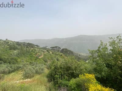 Land for sale in Aabadiyeh  4005 Sqm | Zone 30/90  Prime location