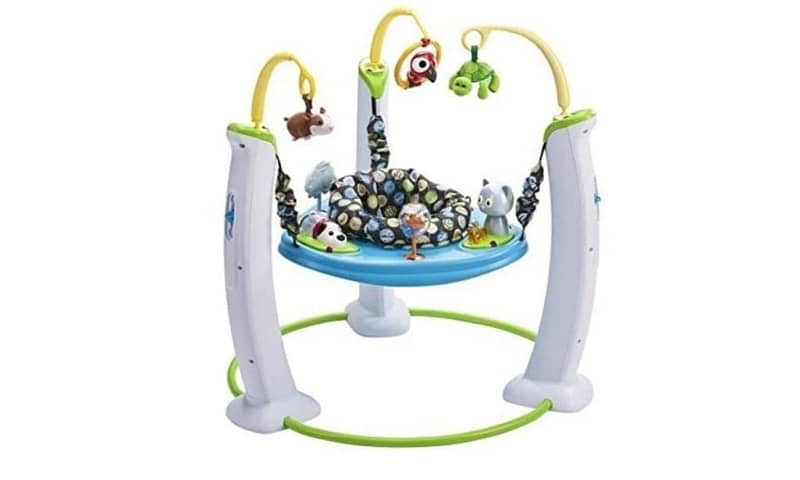 Evenflo ExerSaucer Jump & Learn My First Pet Jumper 2
