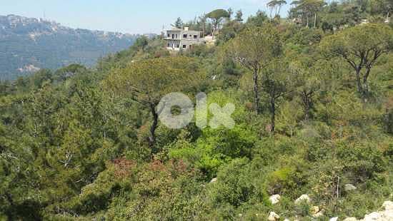 Land for Sale in Bolonia 0
