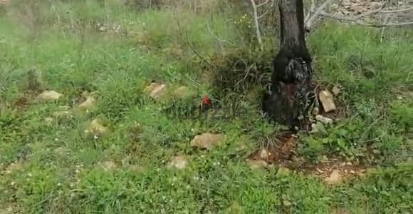 1400 Sqm | Land For Sale in Chouf - Kfarmatta | Mountain & Sea View