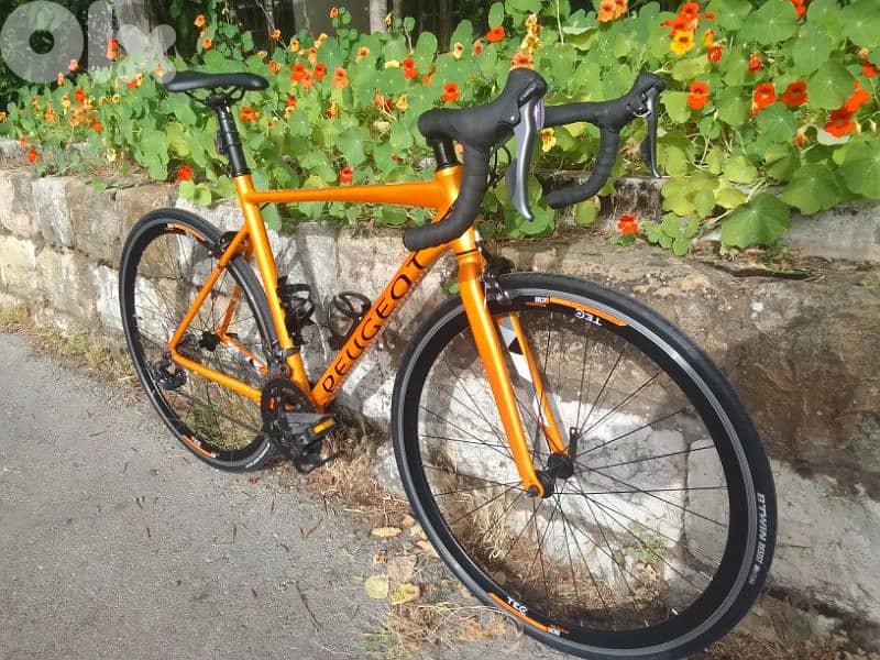 road bike 9