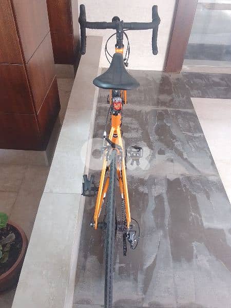 road bike 15
