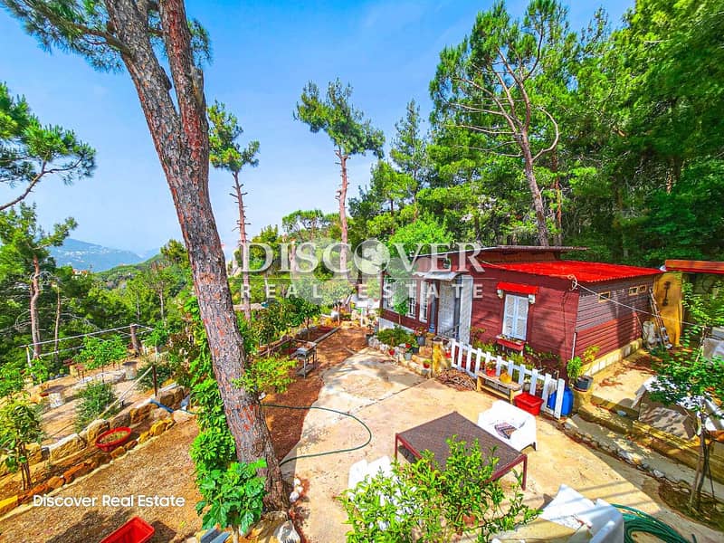 Private, Peaceful & Sensational Location Private land  in Baabdat 1