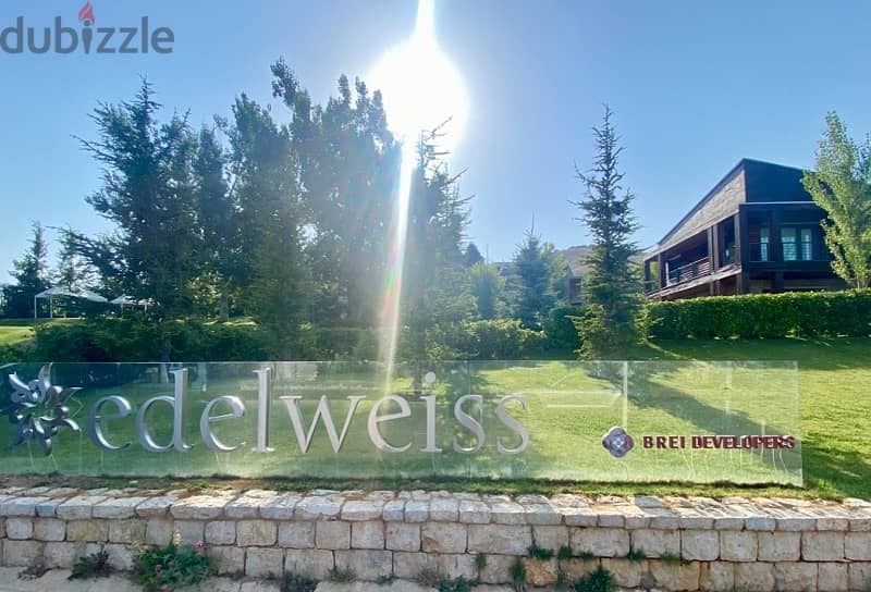 Chalet for Sale 1
