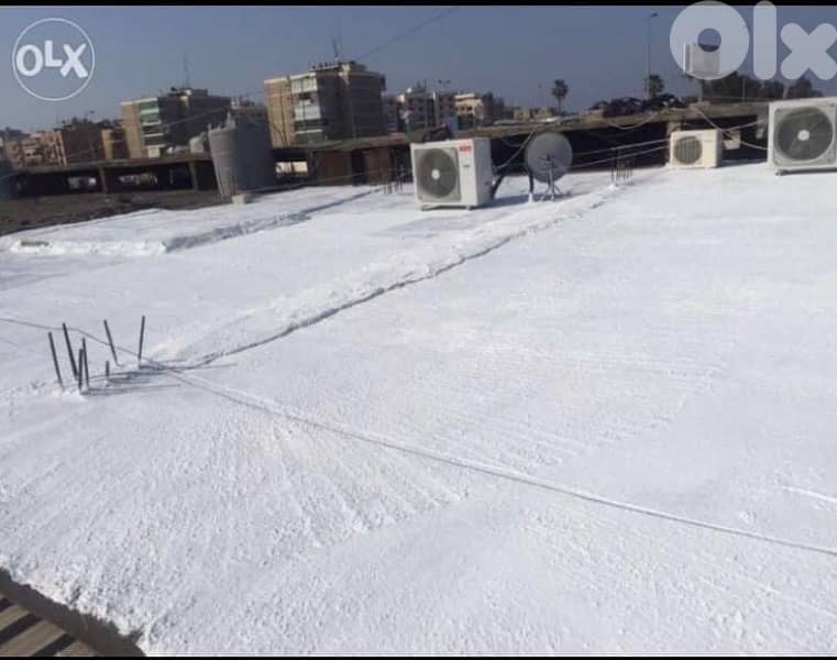 بيروت بربور 2