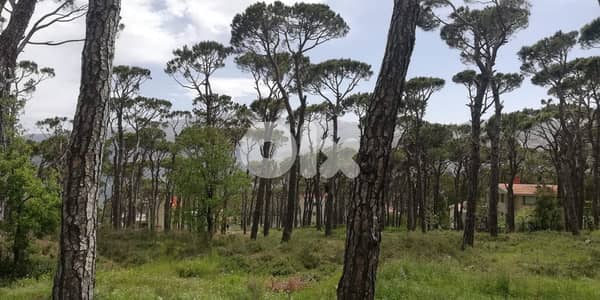 L12332-A Unique Land With Amazing Green View for Sale In Bolonia