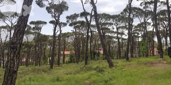 L12332-A Unique Land With Amazing Green View for Sale In Bolonia